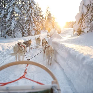 Wintertraum & Polarlicht in Lappland