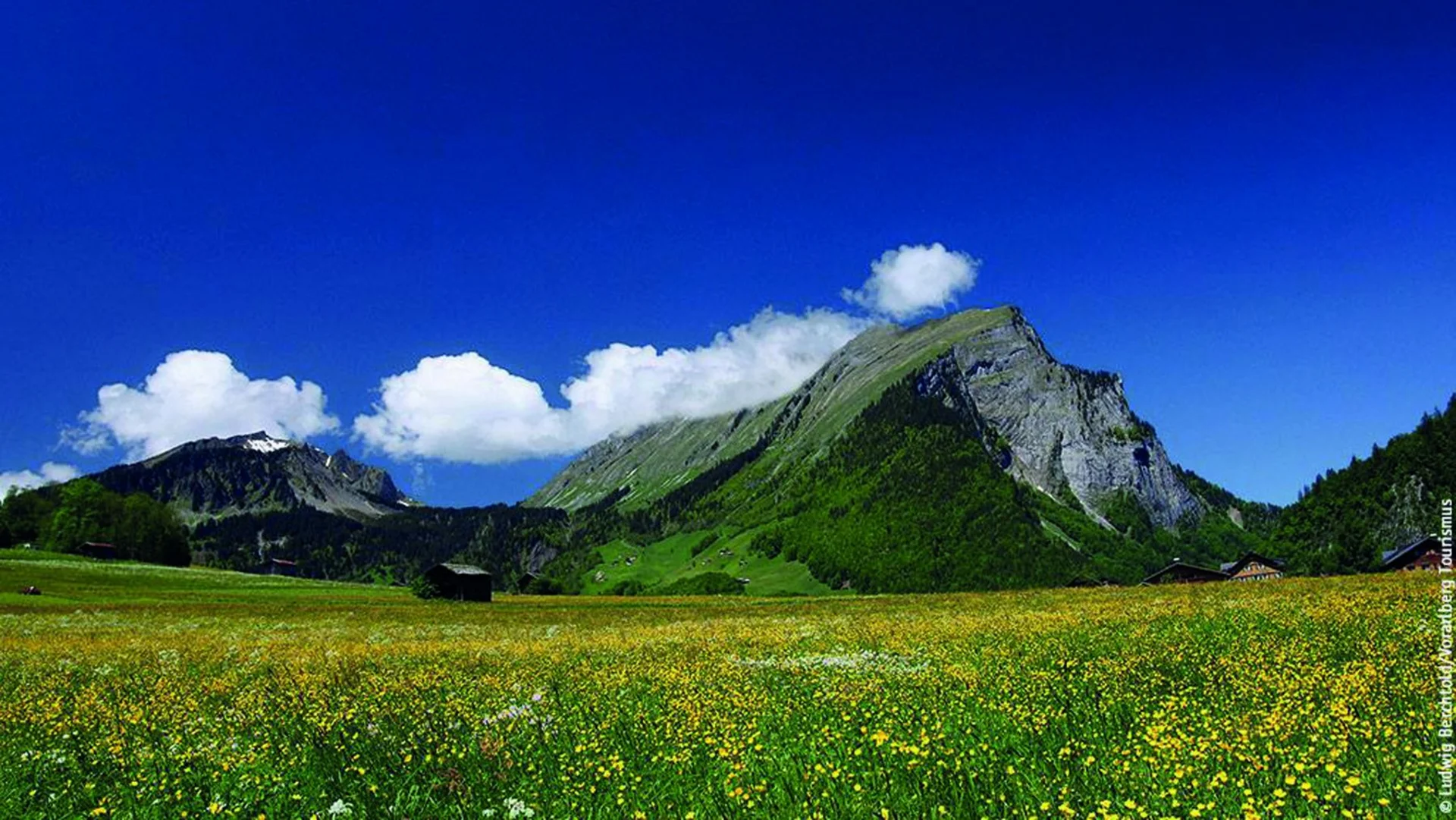 Bregenzerwald ist die Bezeichnung für eine Region im österreichischen Bundesland Vorarlberg. Diese umfasst im Wesentlichen das Einzugsgebiet der Bregenzer Ach südöstlich von Bregenz, in der Nähe des Bodensees, bis an den Hochtannbergpass.