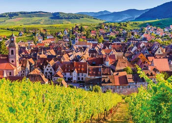 Radreise Elsass - Genussvoller Radurlaub