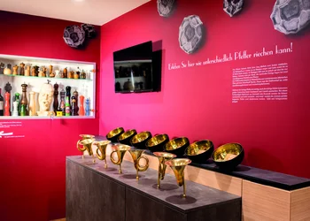 Abenteuer, Genuss und pfefferige Erlebnisse in Kärnten