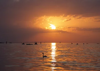 Bodensee und Insel Mainau