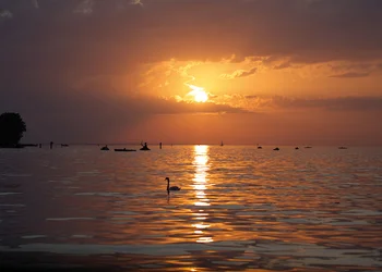 Muttertag am Bodensee 