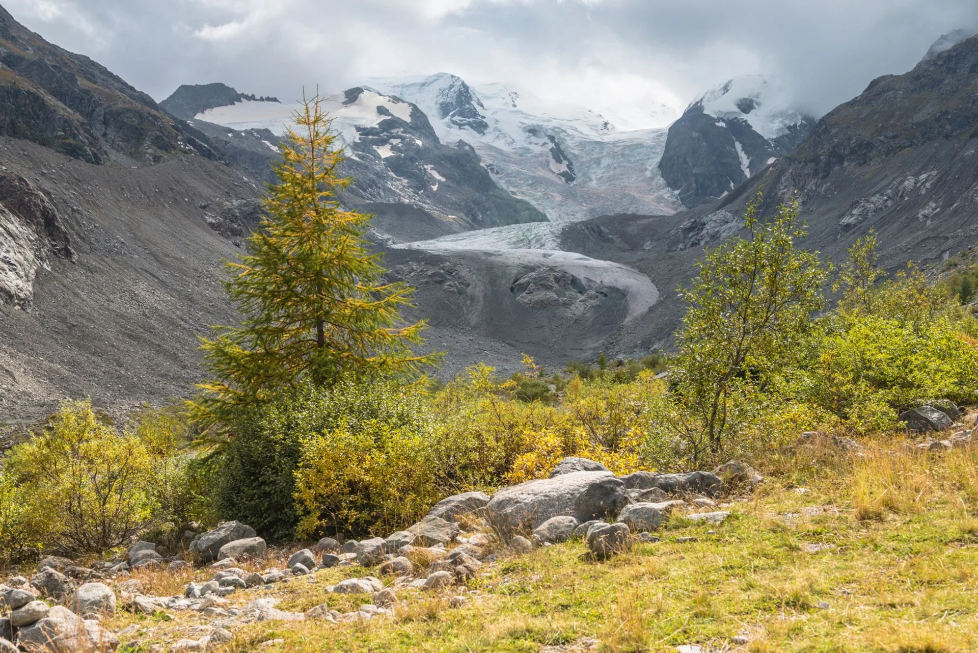 Der Glacier-Express ist ein auf den Tourismus ausgerichtetes Schnellzugangebot auf den Bahnnetzen der Rhätischen Bahn sowie der Matterhorn-Gotthard-Bahn in der Schweiz.